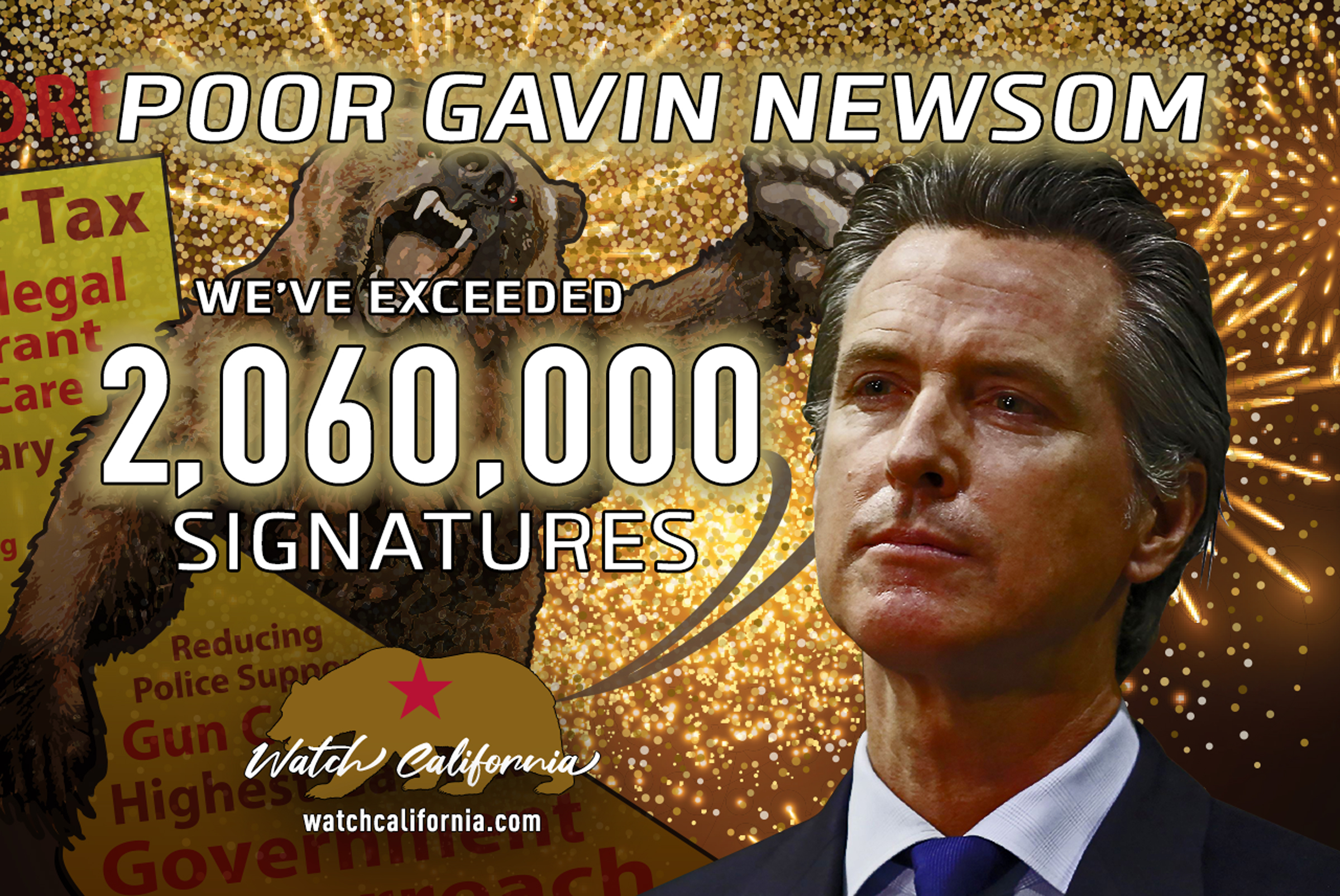 Recall Gavin Newsom
