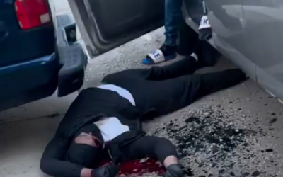 Mass Public Shooting near Chicago Stopped by a Concealed Handgun Permit Holder (Graphic video of aftermath)